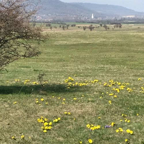 Gólyásház Apartman Kővágóörs – Kővágóörs, Maďarsko