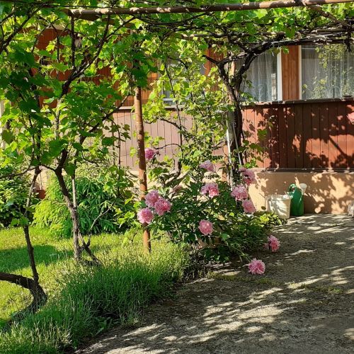 Honey Üdülőház Mezőkövesd – Mezőkövesd, Ungaria