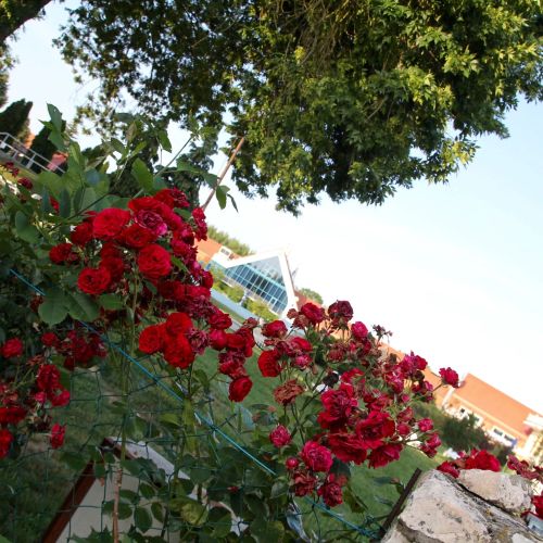 Hévíz Springs Resorts**** Kehidakustány – Kehidakustány, Ungaria