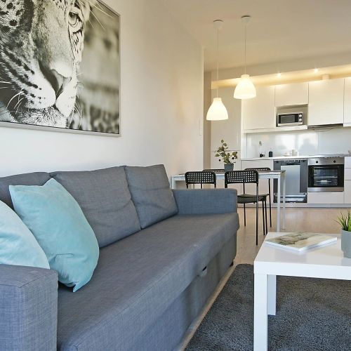 IRS Apartament Panorama D-lux Gdańsk