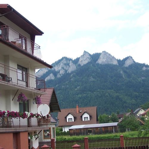 Willa Weronika Patlewicz