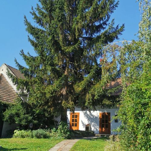 Nagymarosi Vadszőlős Vendégház Nagymaros – Nagymaros, Ungaria