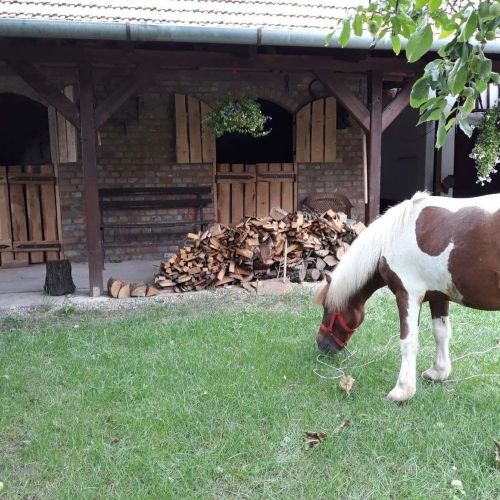 Fehérló Falusi Vendégház Békéscsaba – Bichișciaba, Ungaria