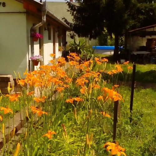 Dominikagarden Apartman Budapest – Budapesta, Ungaria
