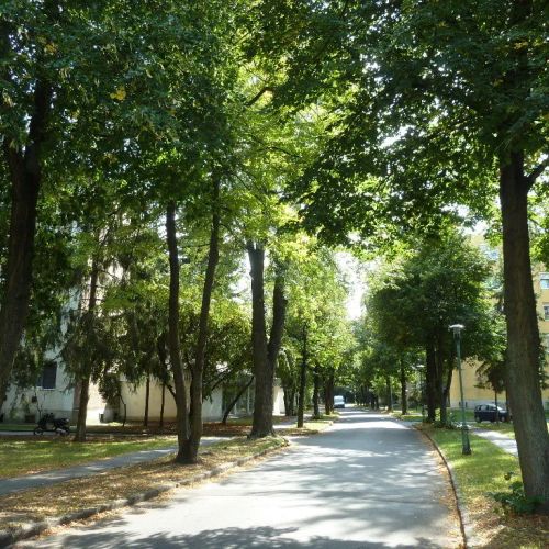 Knédli Apartman Miskolc