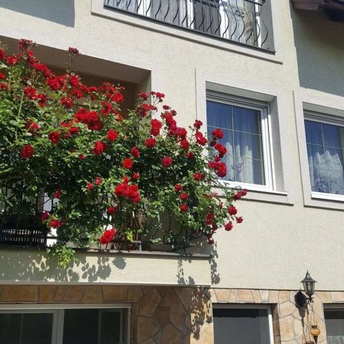 Tavirózsa Apartman Balatonfűzfő – Balatonfűzfő, Węgry