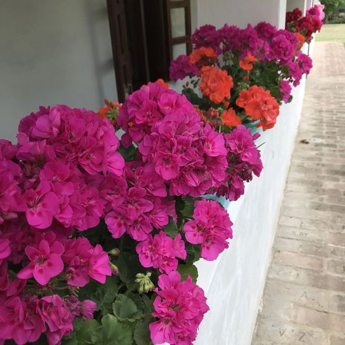 Kán Csodavilág Vendégház Hetvehely