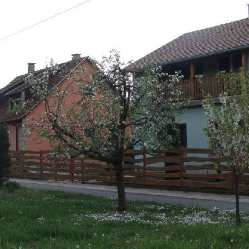 Elek Vendégház Nagyszénás – Nagyszénás, Ungaria