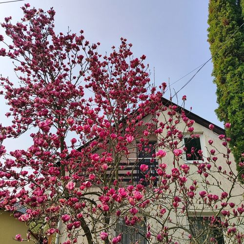 Frédi Vendégház Bogács