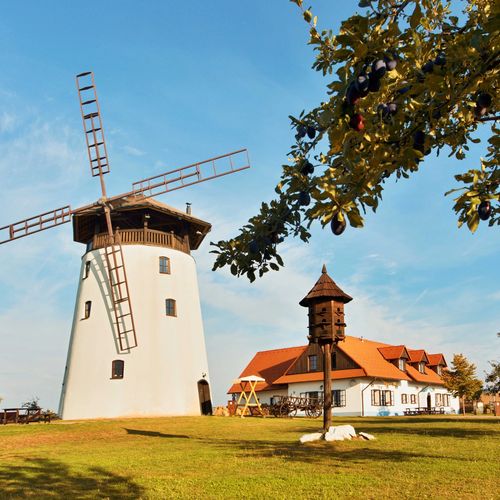 Bukovanský mlýn Bukovany