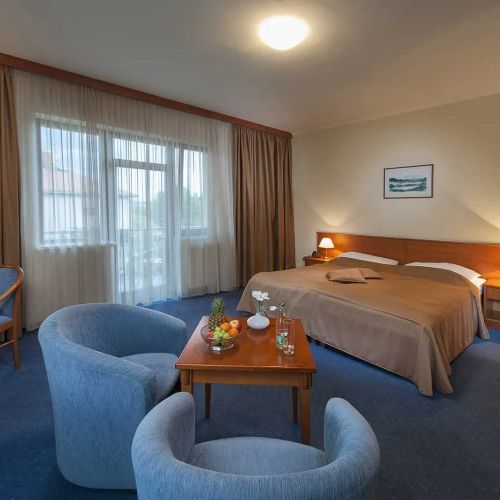APRIL HOTEL PANORAMA Rychnov nad Kněžnou – Rychnov nad Kněžnou, Republica Cehă