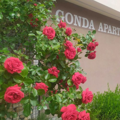 Gonda Apartments Hradec Králové