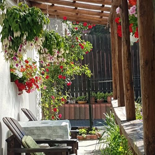 Casa Farcaș Bușteni – Buşteni, România
