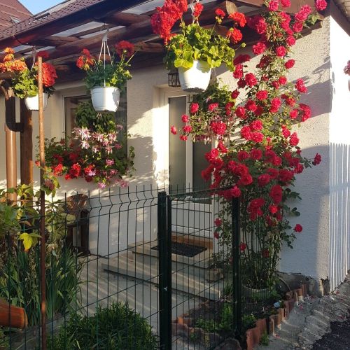 Casa Farcaș Bușteni – Buşteni, România