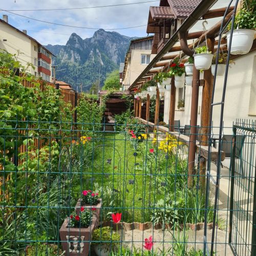 Casa Farcaș Bușteni