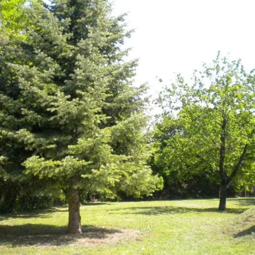 Vadrózsa Apartmanház Poroszló – Poroszló, Ungaria