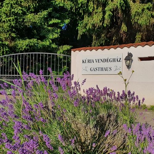 Fertődi Kúria Vendégház Fertőd