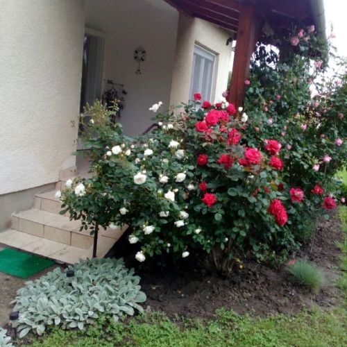 Nikes Üdülőház Balatonkeresztúr