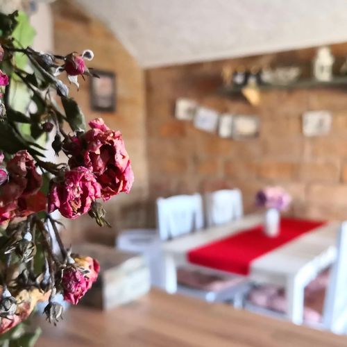 Kakukkfű Barlang Vendégház Noszvaj