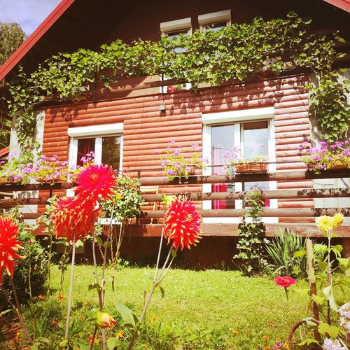 Villa Magnus Lupus Plitvička jezera