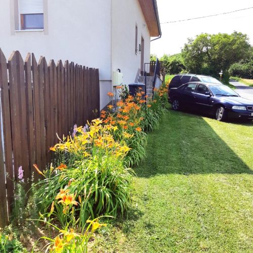 Liliom Apartman Rezi