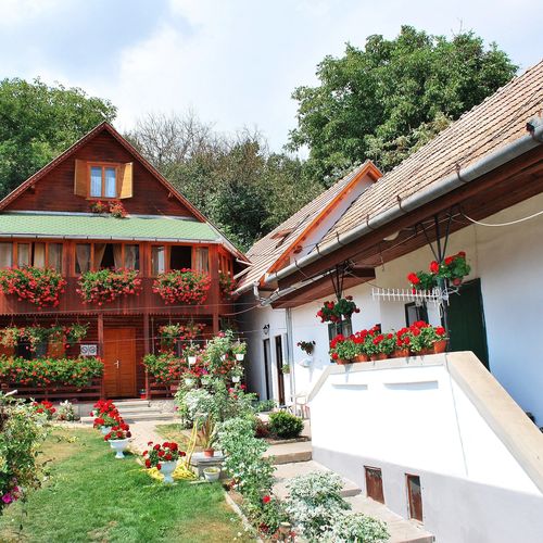 Pensiunea cu Mușcate Rimetea