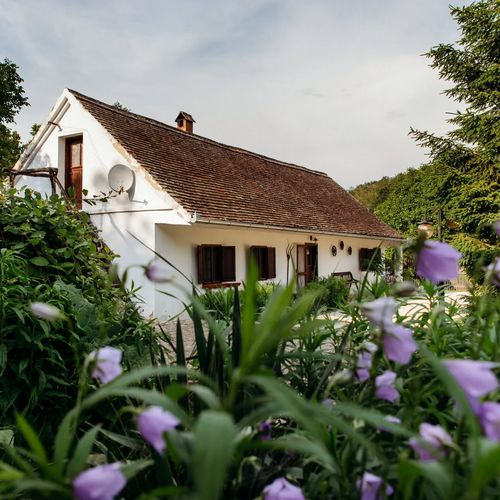 Káni Ökoporta Hetvehely-Kán