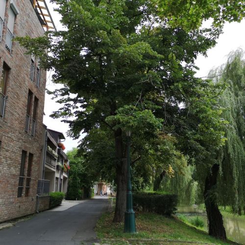 Belvárosi Terasz Apartman Gyula – Giula, Ungaria
