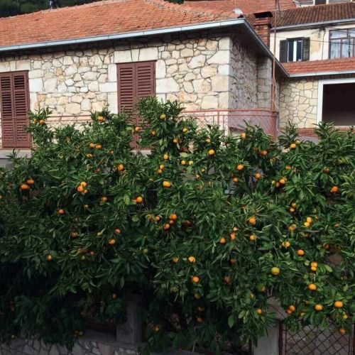 Holiday House With A Parking Space Svirče, Hvar - 17682 Svirče – Svirče, Croația