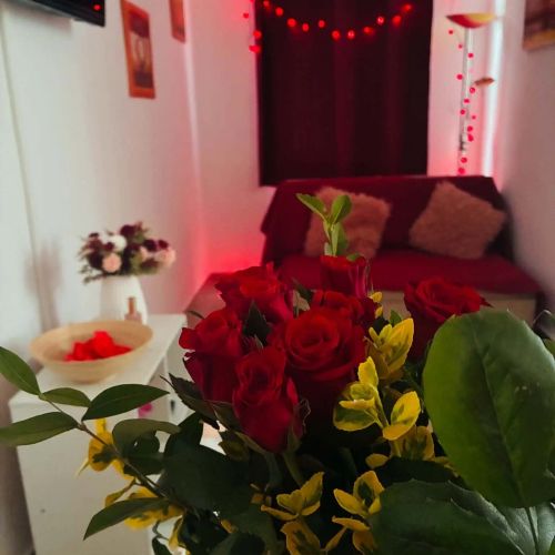 Patakparti Apartman Lovas