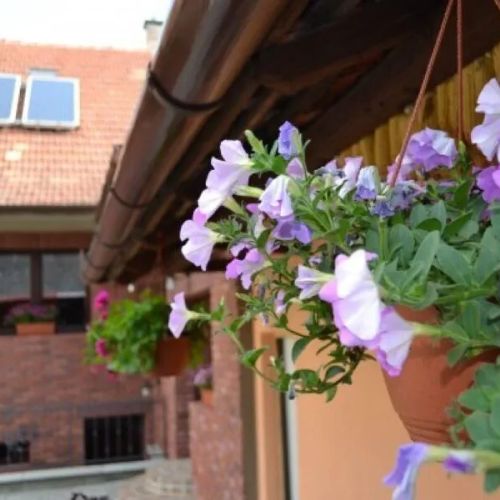 Penzion Vinařský dvorek – Velké Němčice, Česká republika