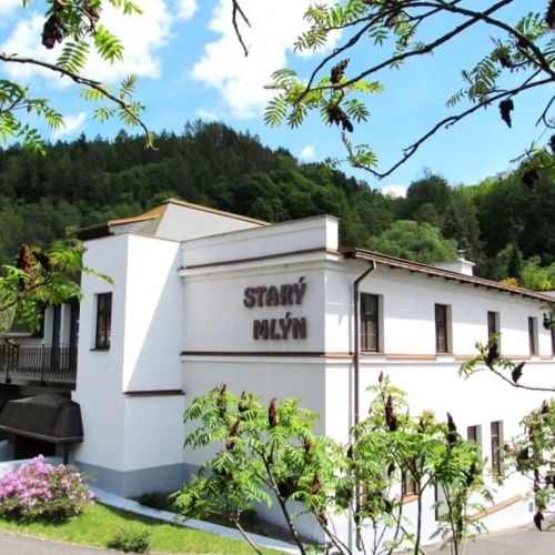 Hotel Starý Mlýn Železný Brod