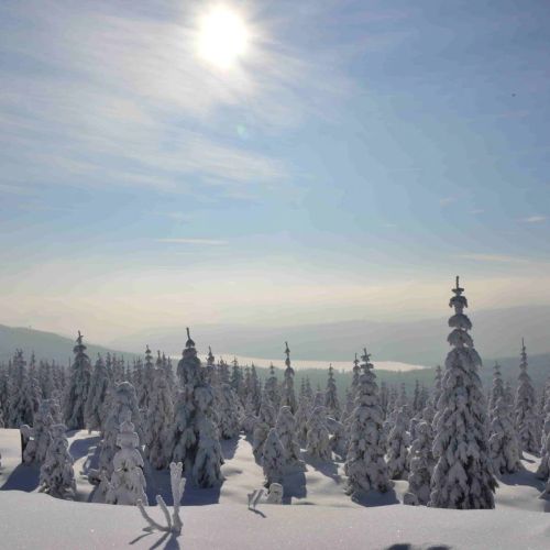Montanie Resort Desná – Desná, Republica Cehă