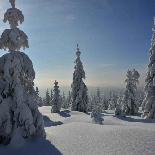 Montanie Resort Desná – Desná, Republica Cehă