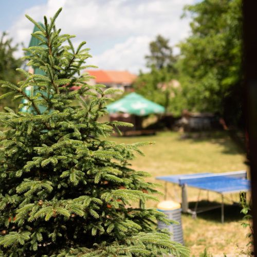 Penzion Nechorka Prušánky – Prušánky, Republica Cehă