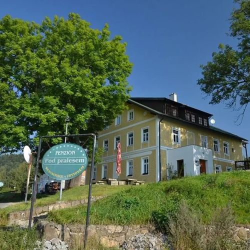 Penzion Pod pralesem Lenora – Lenora, Czechy