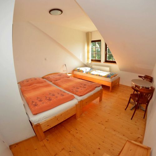 Penzion Pod pralesem Lenora – Lenora, Czechy