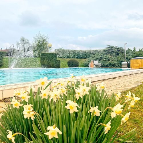 Ginti Panzió Magyarszombatfa 