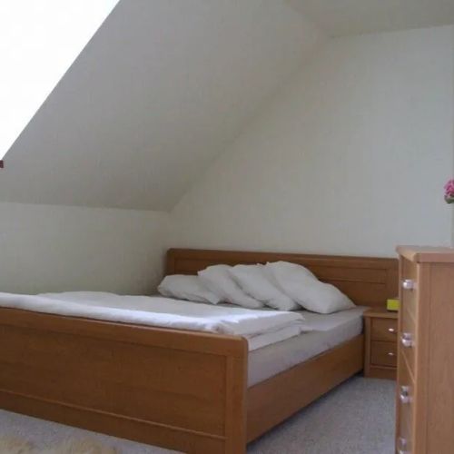 Apartmán Ariana Vrbno pod Pradědem – Vrbno pod Pradědem, Republica Cehă