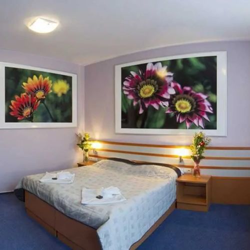 Hotel Air Holíč – Holíč, Słowacja