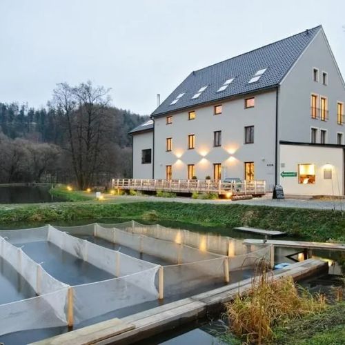 Davidův mlýn Staré Těchanovice