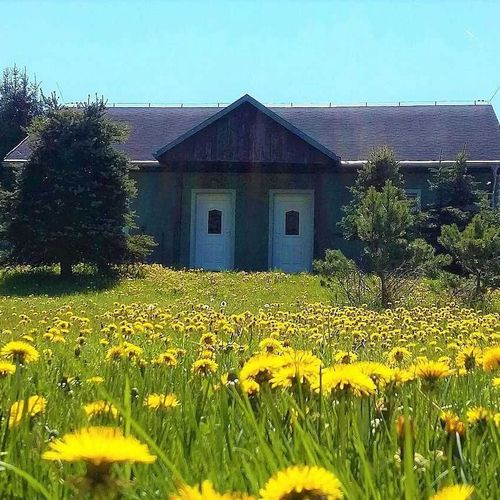 Apartmány Potůčky