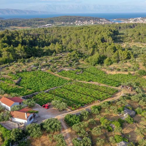 Nyaralóház Parkolóhellyel Pitve, Hvar - 17397 Pitve