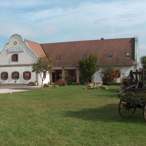 Borház Panzió Hajós-Pincefalu