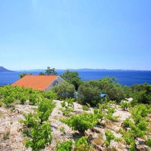 Robinson House Dingač Trstenik – Trstenik, Chorwacja