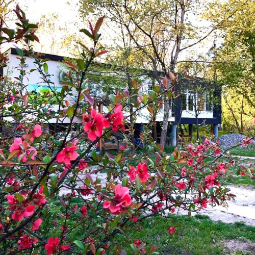  Fekete Gólya Pihenőház Baja