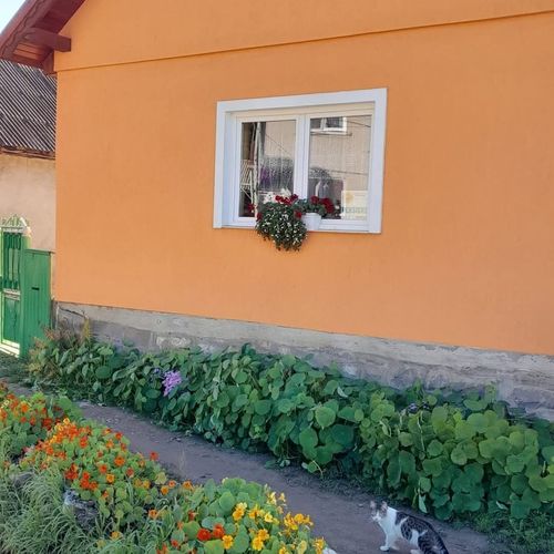 Pensiunea Nagy ildikó Lăzarea