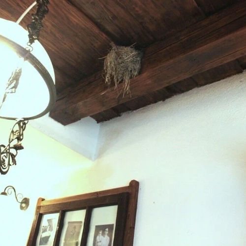 Casa de oaspeti La Conac Rugănești – Rugănești, România