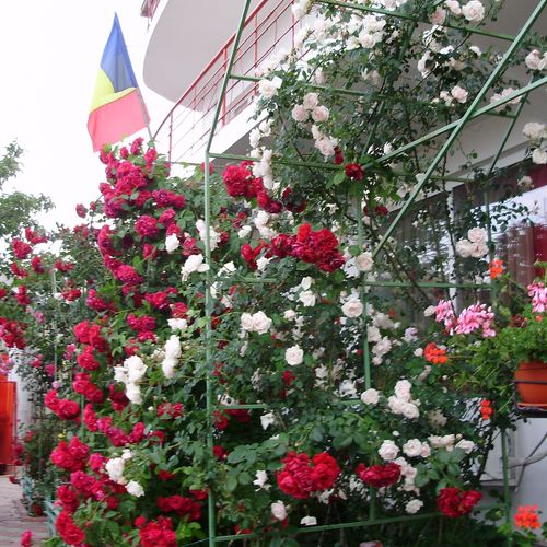 Casa de oaspeți Margo 2 Mai – 2 Mai, România