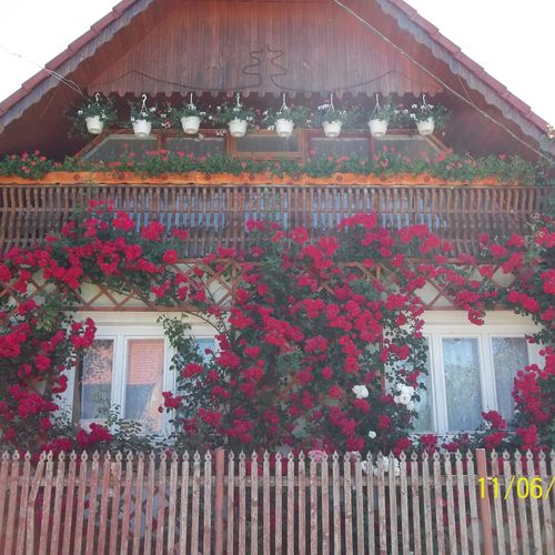 Casa de Oaspeți Kopó Chibed